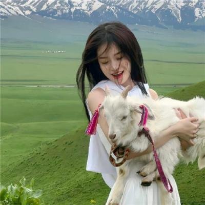 香城浪子粤语